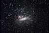 Test-large.mc.arp.750pix.jpg
