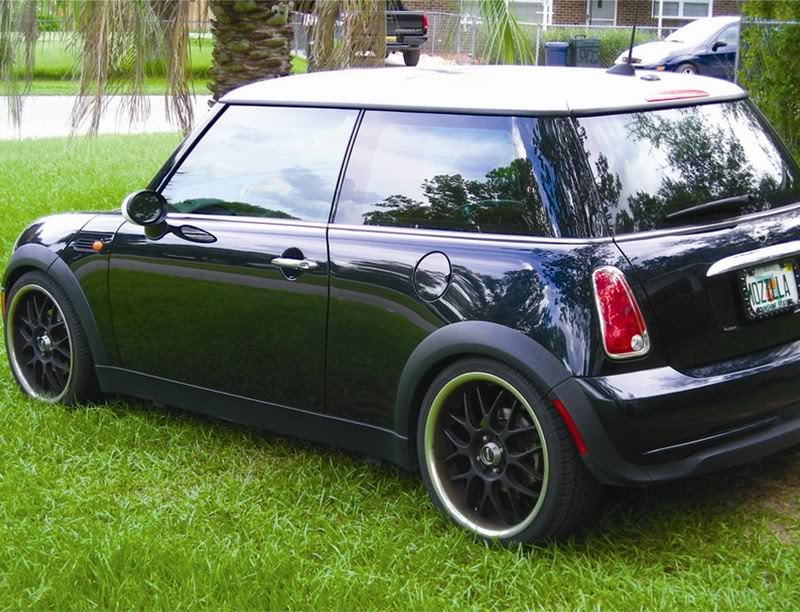 Name:  miniindayard.jpg
Views: 368
Size:  128.5 KB