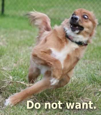 Name: do-not-want-dog.jpg
Views: 541
Size: 25.0 KB
