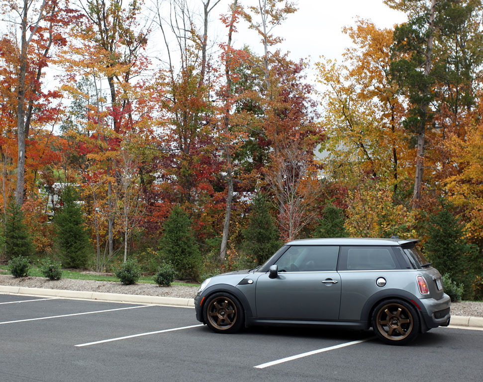 Name:  Fallbronzegrid.jpg
Views: 1473
Size:  352.7 KB