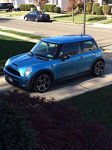 New Rims!!! Electric Blue MCS-xi1ud13.jpg