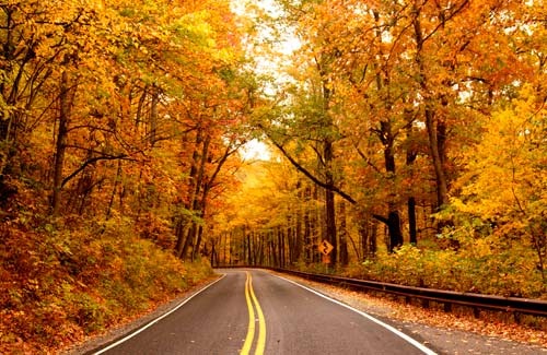 Name:  US276_10-18-12.jpg
Views: 4
Size:  79.1 KB