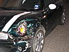 Mini Vs. Mule Deer-img_1731.jpg