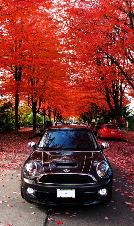 Name:  d4e2e601-1316-46b9-893b-f2c60dffe479_zps73cd2abd.jpg
Views: 19
Size:  424.8 KB